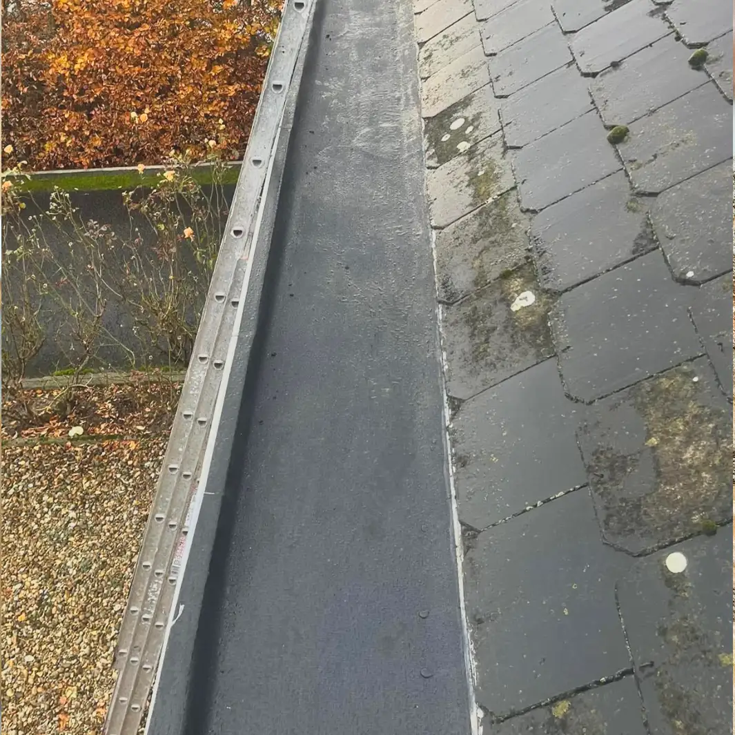 Onderhoud dakgoten door Wyllemet